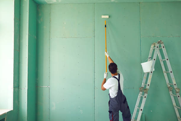 Environmental Consulting for Mold Prevention in Hughes Springs, TX