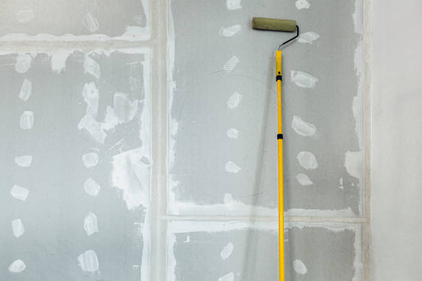 Best Post-Remediation Verification Testing  in Hughes Springs, TX