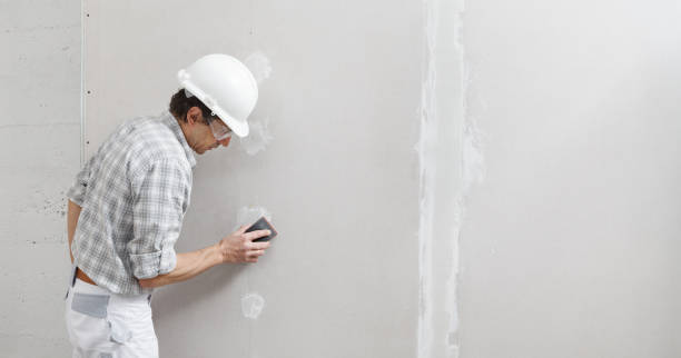 Best Black Mold Removal  in Hughes Springs, TX