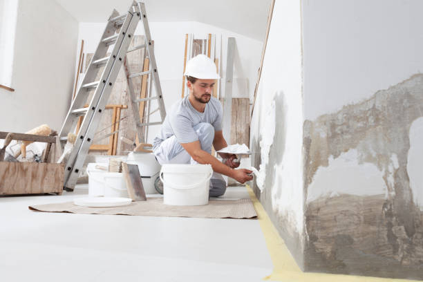 Best Forensic Mold Investigation  in Hughes Springs, TX