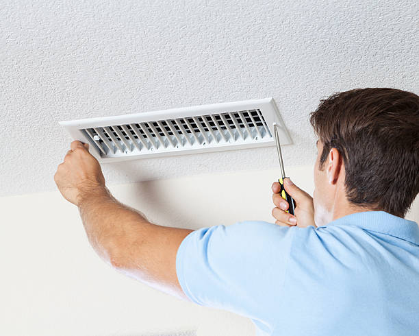 Professional Mold Removal in Hughes Springs, TX