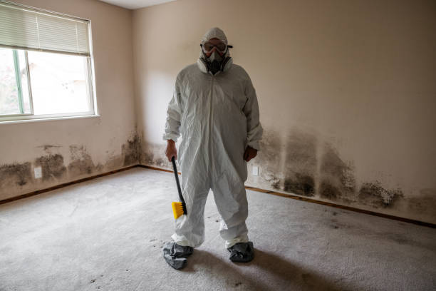 Best HVAC Mold Inspection and Cleaning  in Hughes Springs, TX