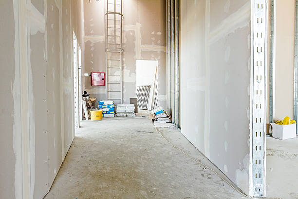 Best Mold Documentation for Insurance Claims  in Hughes Springs, TX