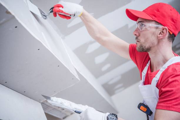 Best Asbestos and Lead Testing During Mold Inspection  in Hughes Springs, TX